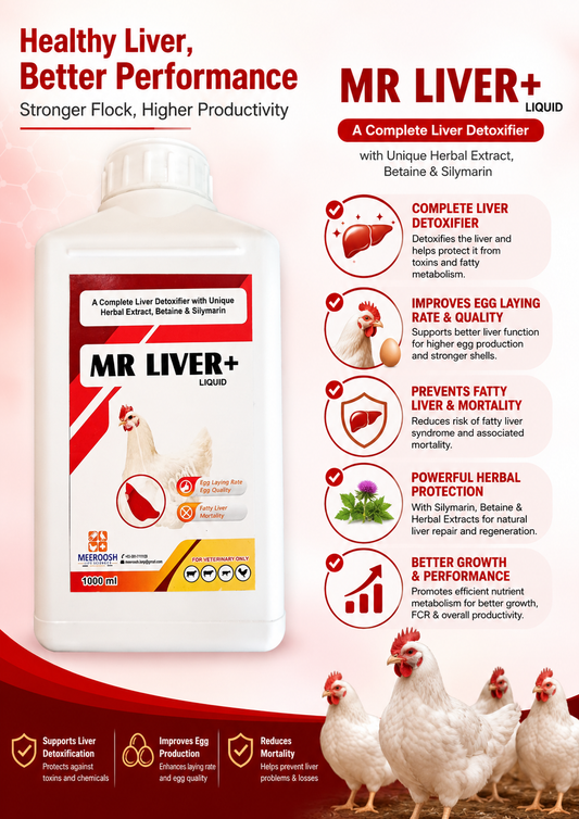 MR LIVER+ | Poultry Liver Support & Performance Supplement