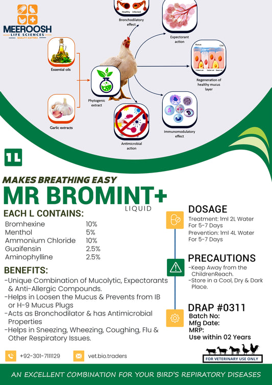 MR BROMINT+
