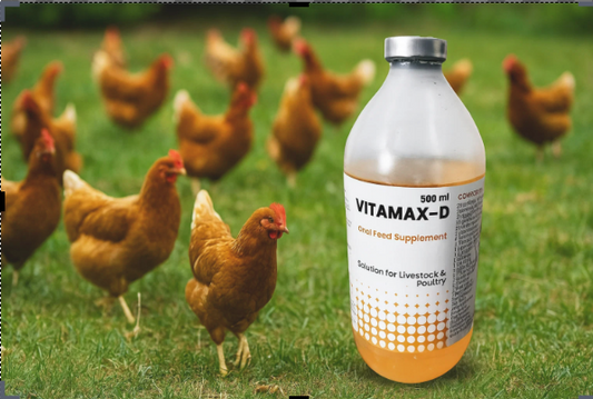 VITAMAX-D | Energy, Electrolyte & Amino Acid Supplement for Poultry & Livestock | 500 ml