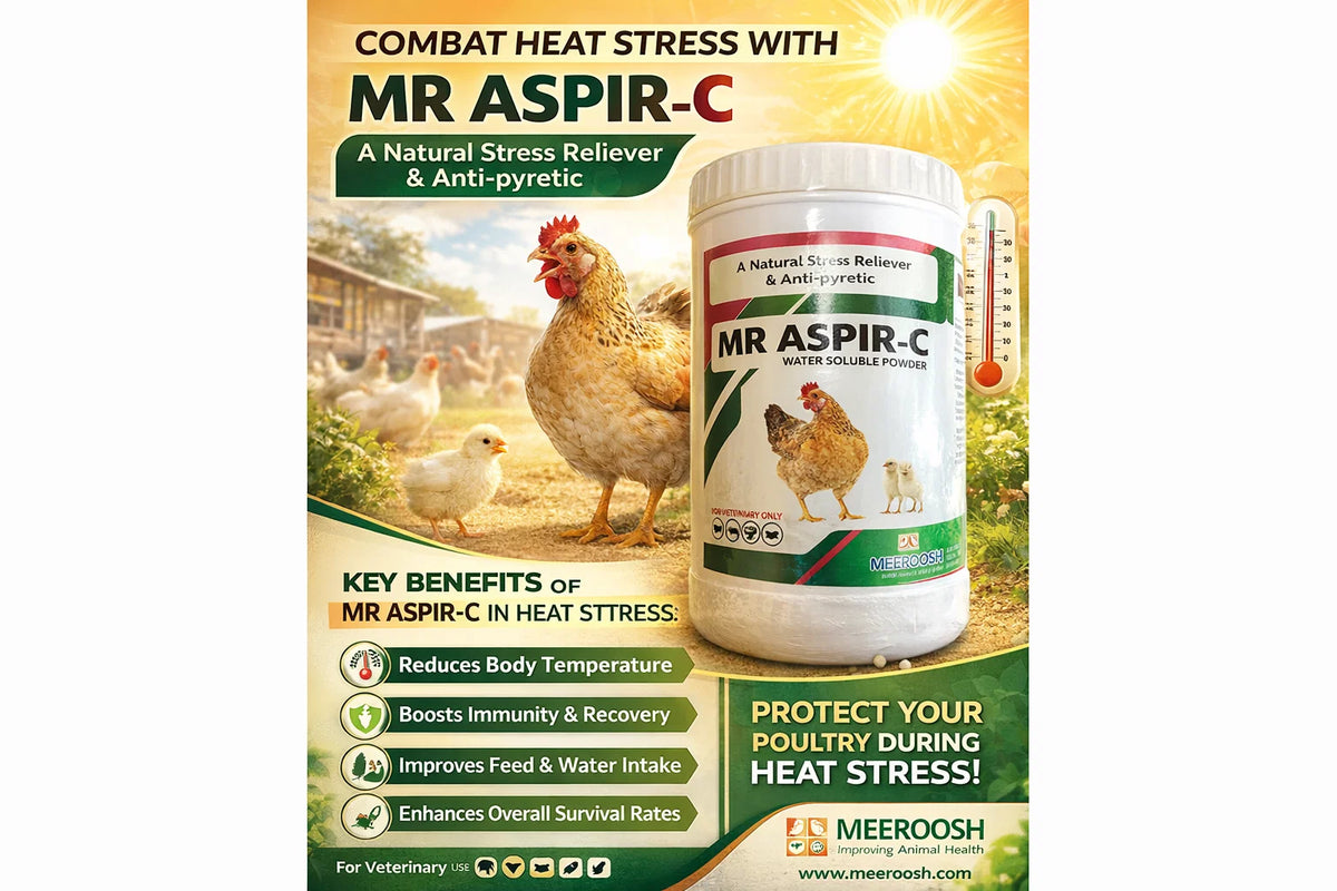 MR ASPIR C | Vitamin C + Aspirin Poultry Support Formula for Heat Stress