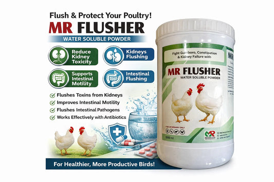 MR FLUSHER | Liver Support & Detox Poultry Supplement