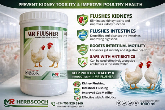 MR FLUSHER | Liver Support & Detox Poultry Supplement